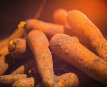 Opskrift med grøntsager fra Lammefjorden