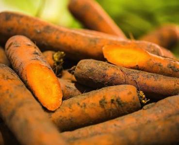 Opskrift med grøntsager fra Lammefjorden