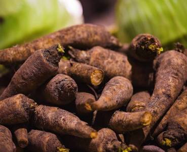 Opskrift med grøntsager fra Lammefjorden