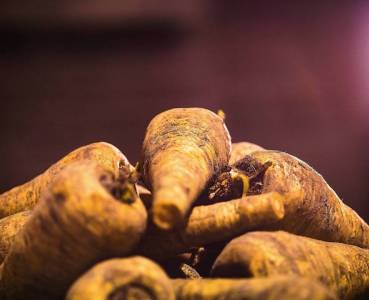 Opskrift med grøntsager fra Lammefjorden