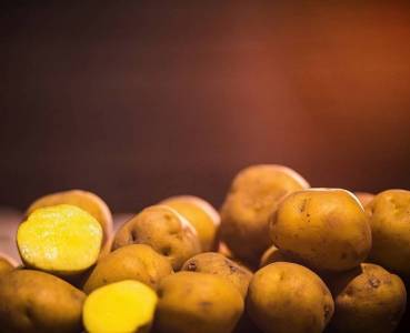 Opskrift med grøntsager fra Lammefjorden