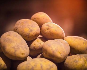 Opskrift med grøntsager fra Lammefjorden