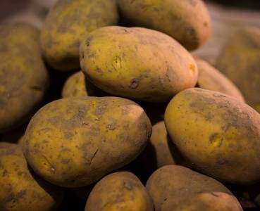 Opskrift med grøntsager fra Lammefjorden