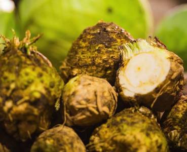 Opskrift med grøntsager fra Lammefjorden