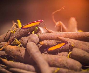 Opskrift med grøntsager fra Lammefjorden