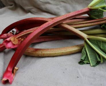 Opskrift med grøntsager fra Lammefjorden