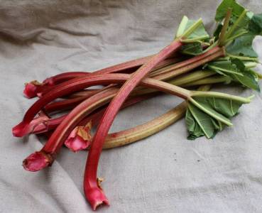 Opskrift med grøntsager fra Lammefjorden